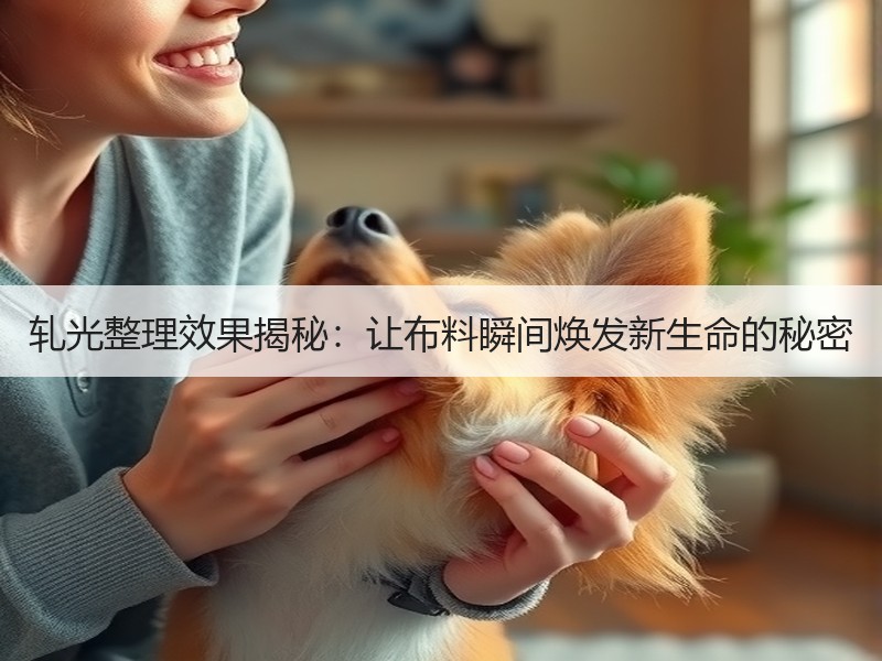 轧光整理效果揭秘：让布料瞬间焕发新生命的秘密