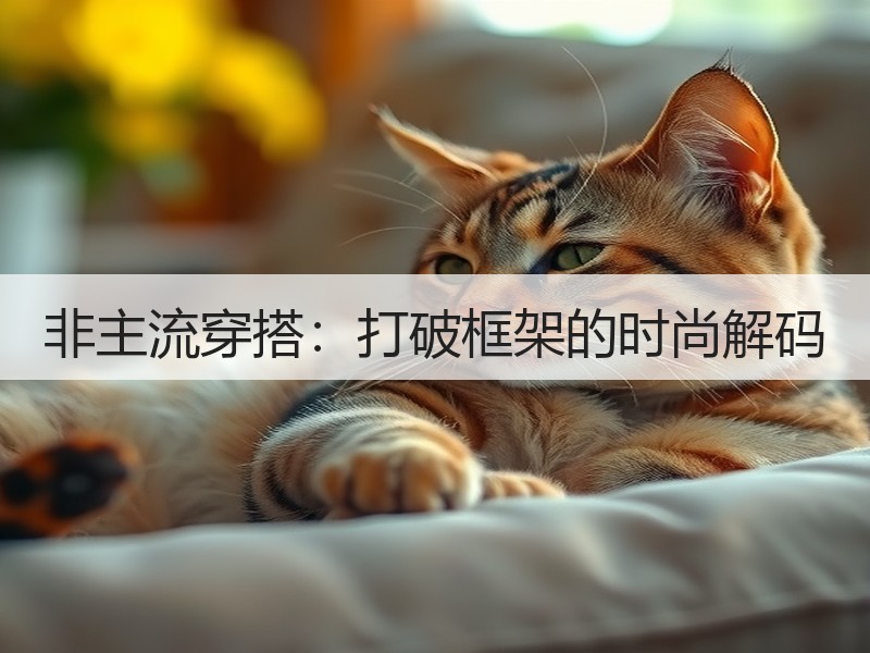非主流穿搭：打破框架的时尚解码