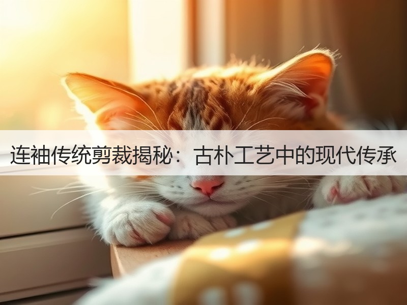 连袖传统剪裁揭秘：古朴工艺中的现代传承